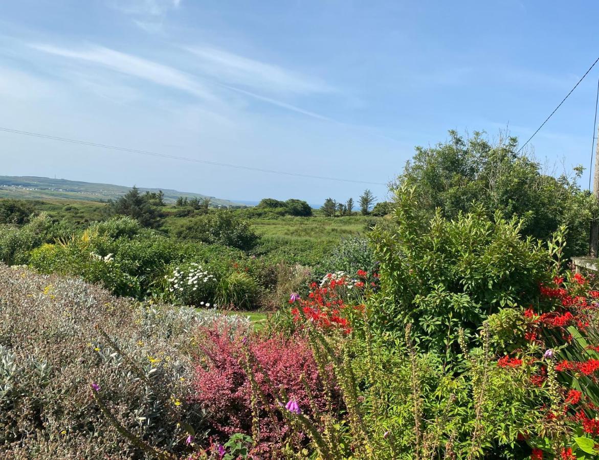 Atlantic Garden Lodge Lisdoonvarna Dış mekan fotoğraf