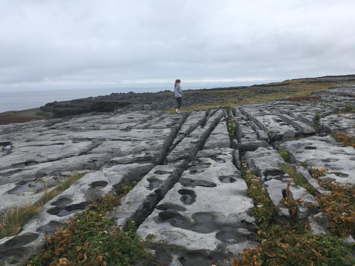 Atlantic Garden Lodge Lisdoonvarna Dış mekan fotoğraf