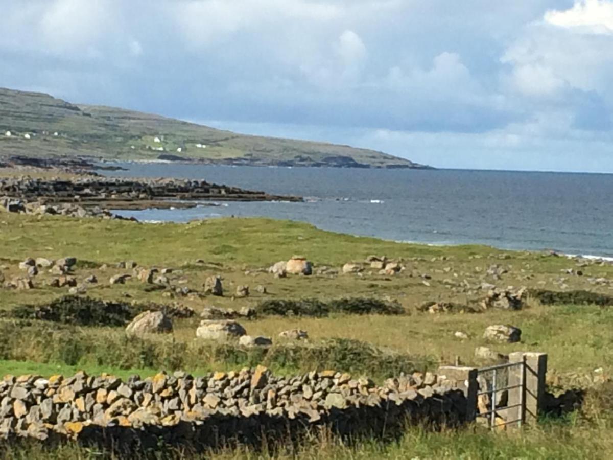 Atlantic Garden Lodge Lisdoonvarna Dış mekan fotoğraf